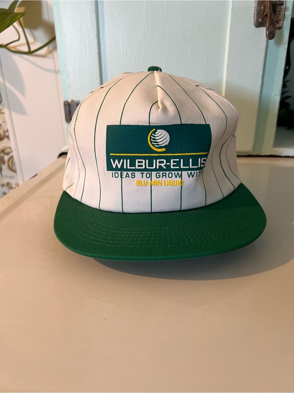 Vintage Wilbur-Ellis green brim Hat